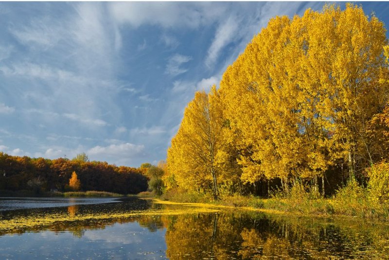 Курская область осень природа