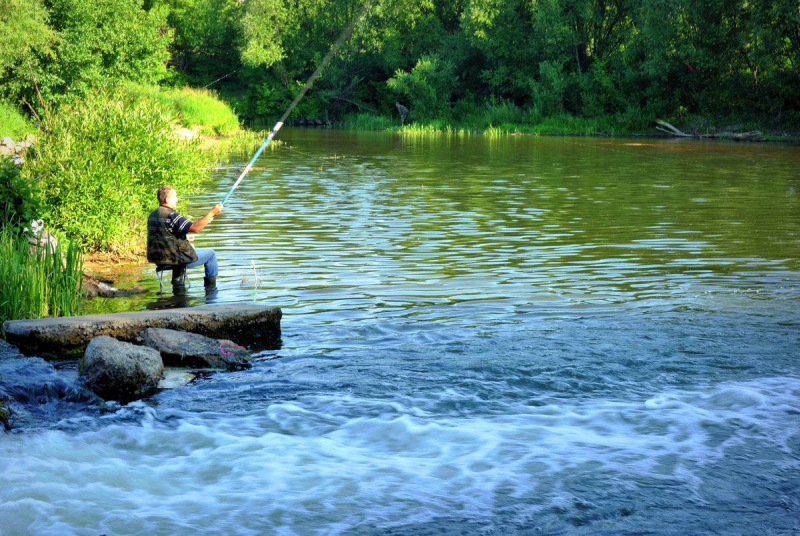 Рыбалка летом