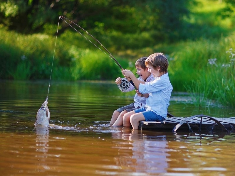 Рыбалка летом