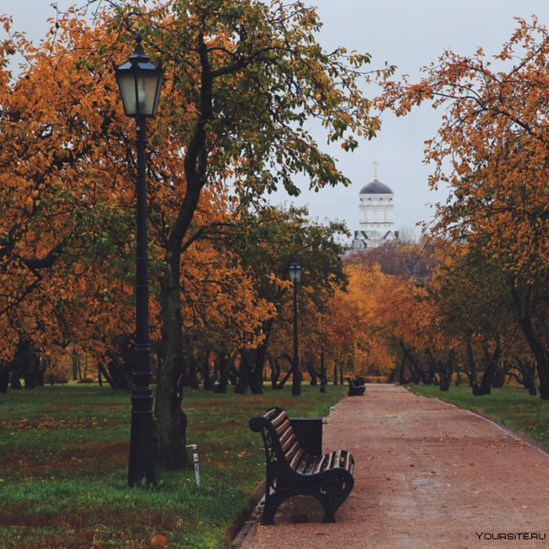 Осень Москва Братиславский парк