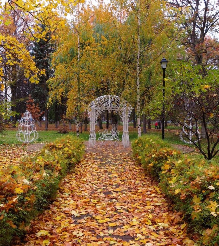 Город Жуковский осенью