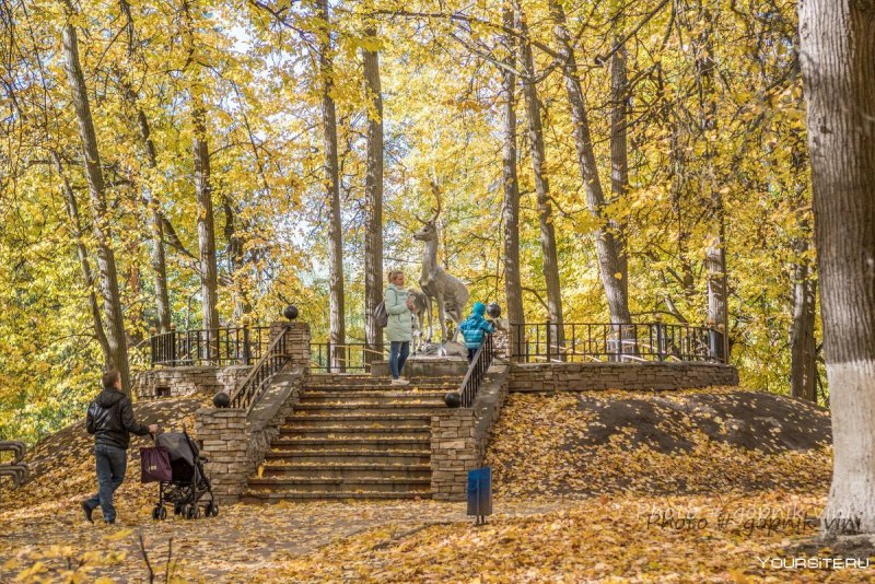 Борисоглебский парк Раменское