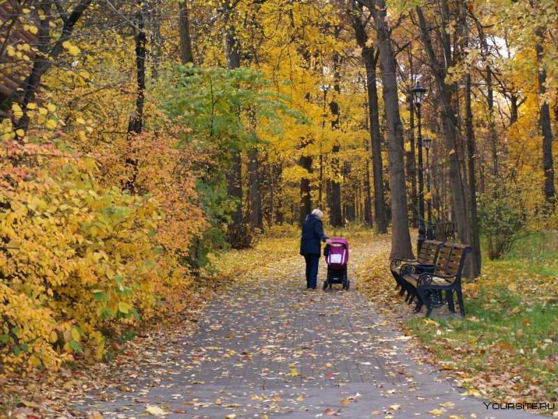 Останкинский парк осенью в ноябре