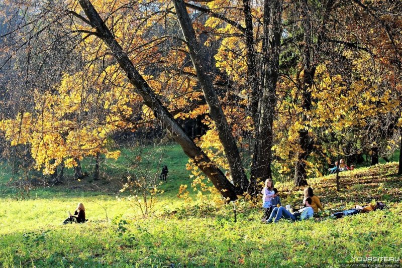 Золотая осень в Павловском парке