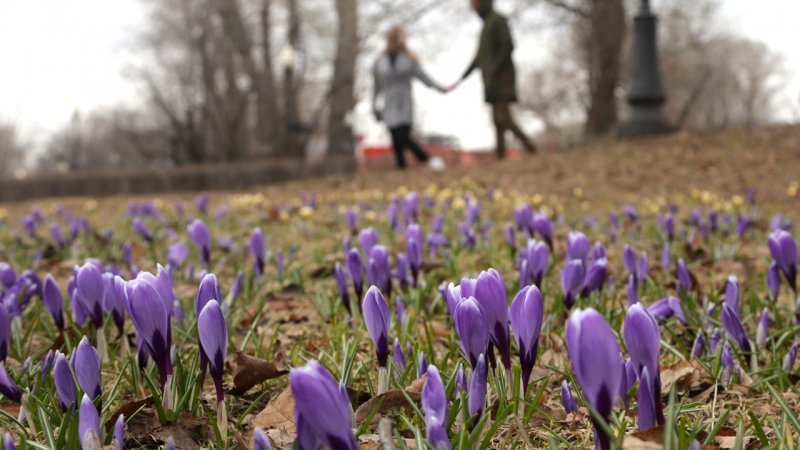 Парк Москва весной