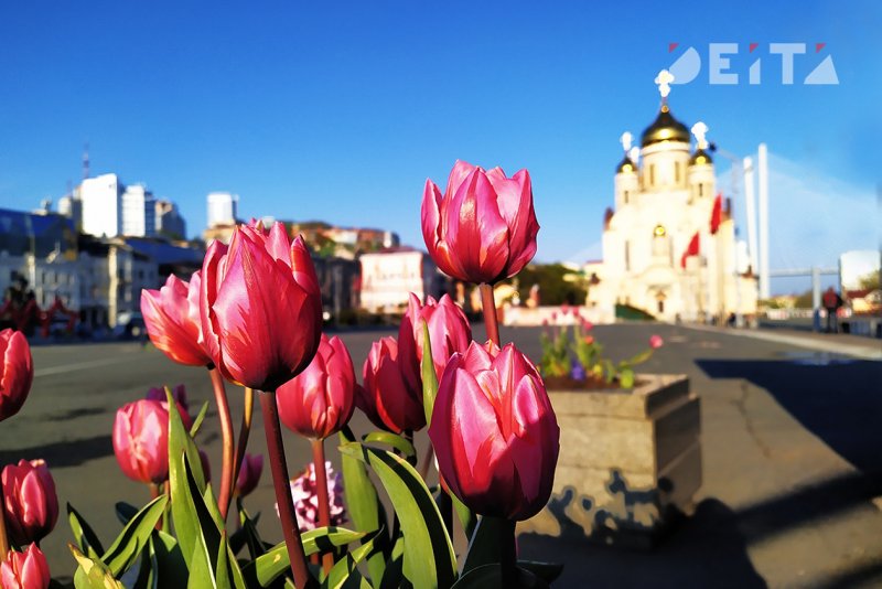 Весна во Владивостоке фото