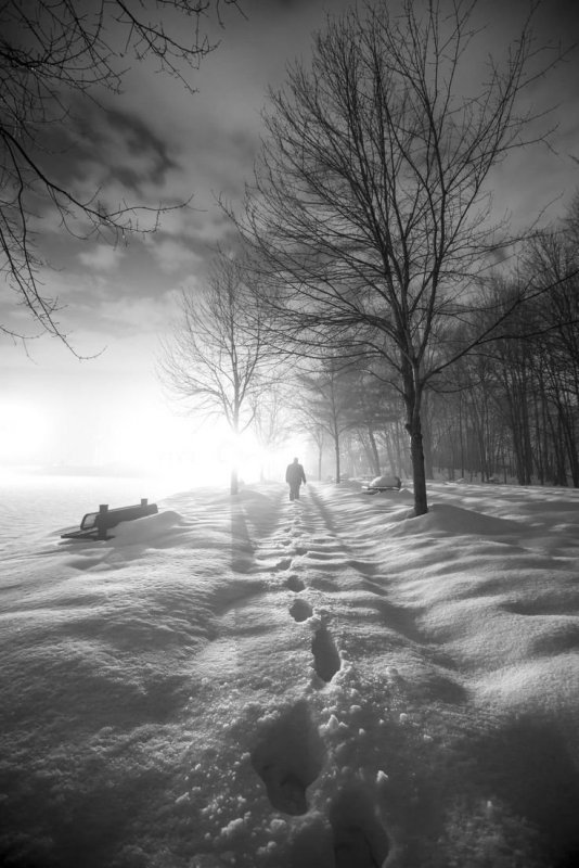 Одинокий в лесу зимней