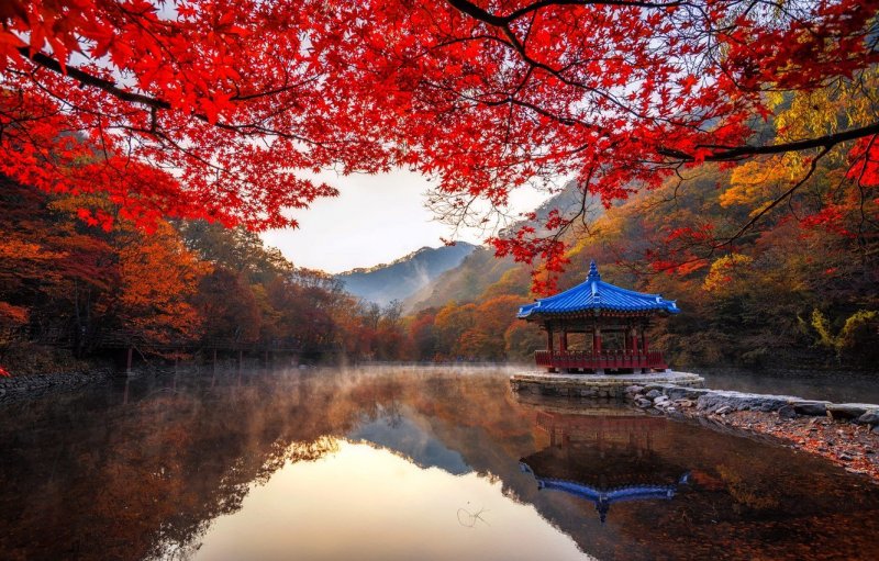 Южная Корея красные клены
