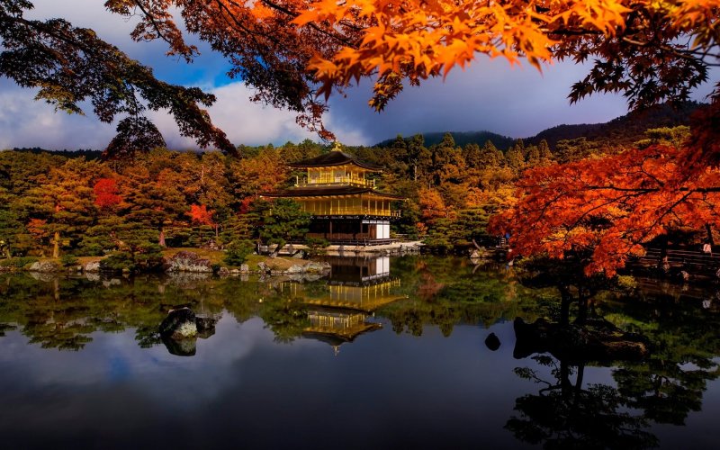 Япония краски осени в Киото