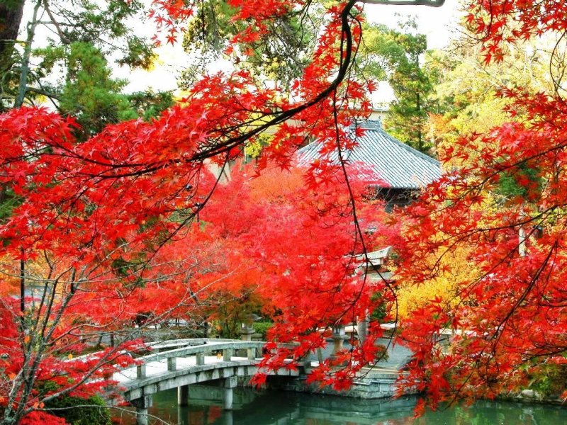 Парк Сяншань в Пекине осенью