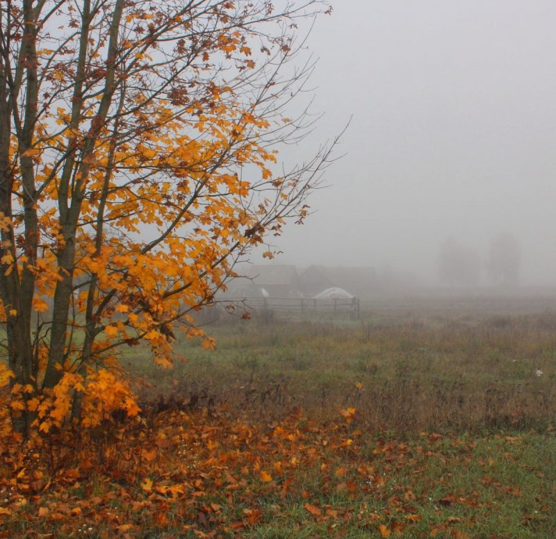 Осенний туман Москва