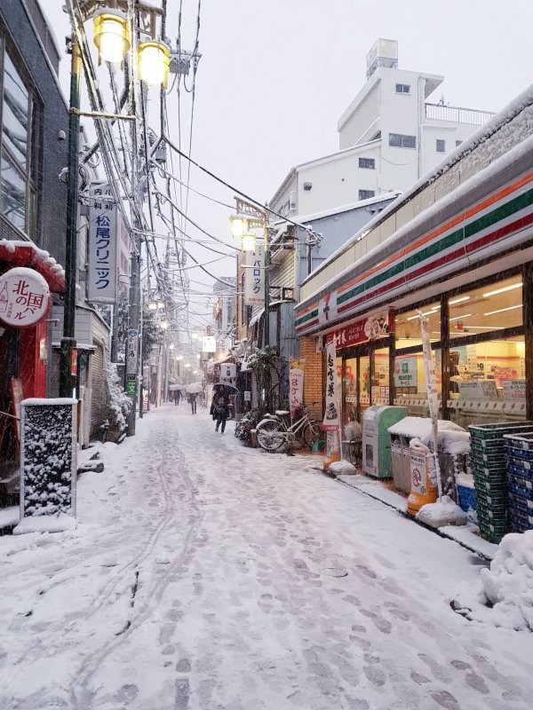 Снежный Токио