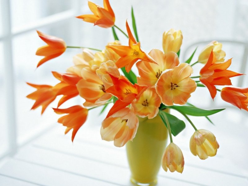 Красивые весенние цветы в вазе