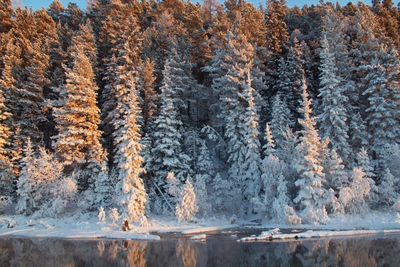 Карелия природа зима