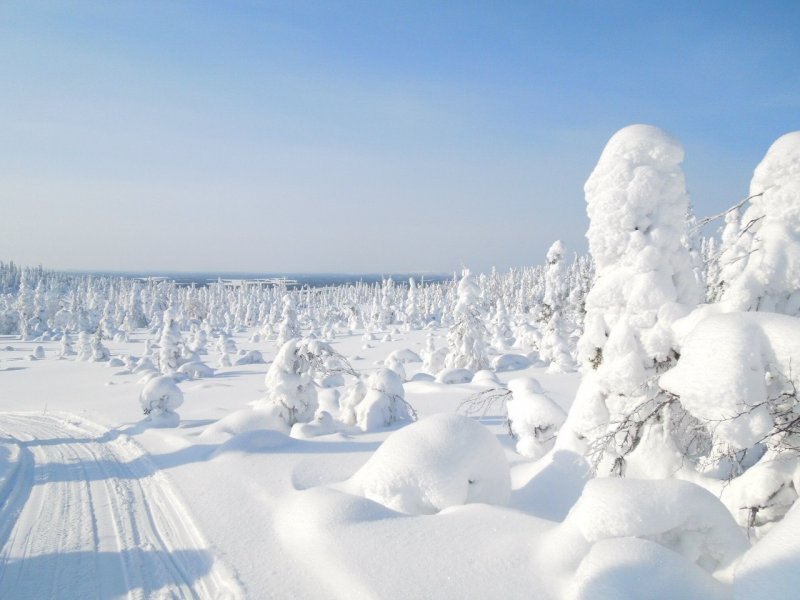 Паанаярви национальный парк в Карелии зима