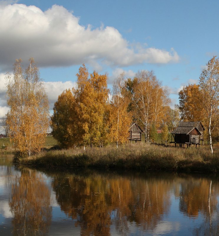 Река и Золотая осень в деревне