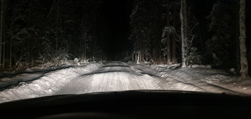 Ночная дорога в лесу зимой