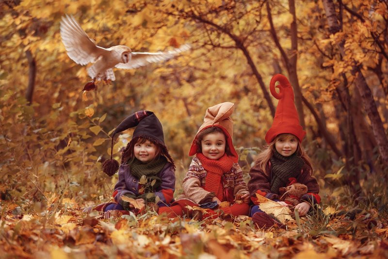 Дети осенью