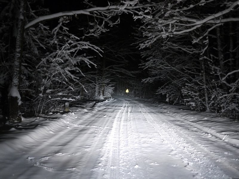 Ночная зимняя трасса