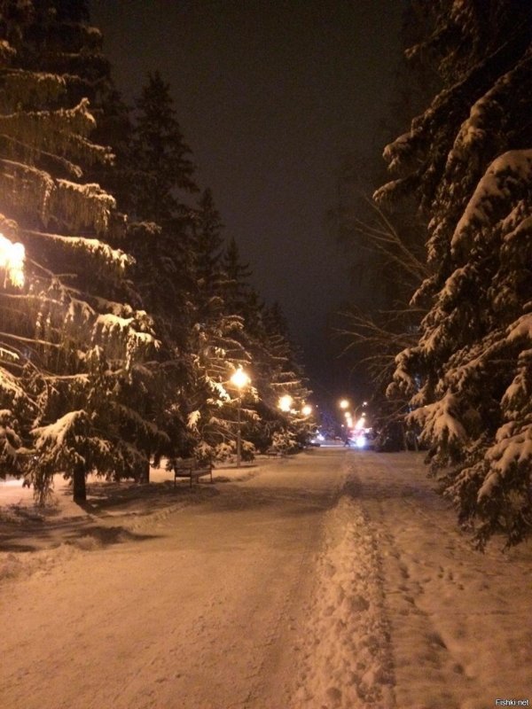 Город зимой ночью