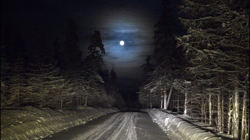 Зимняя дорога ночью