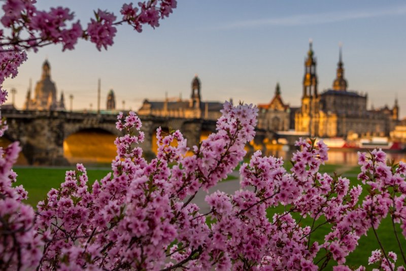 Дрезден весной