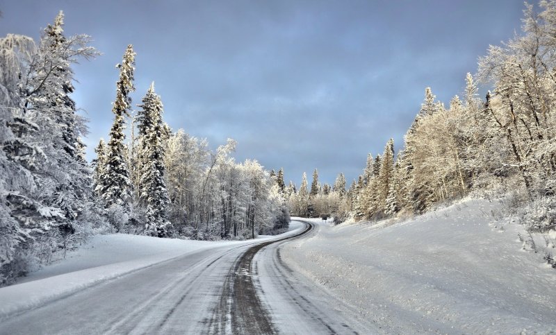 Дорога в лесу зимой