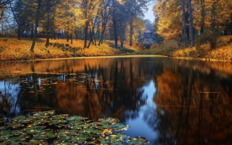 Осень отражение в воде фото