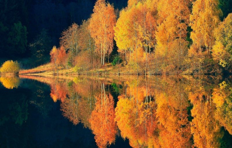 Золотая осень озеро
