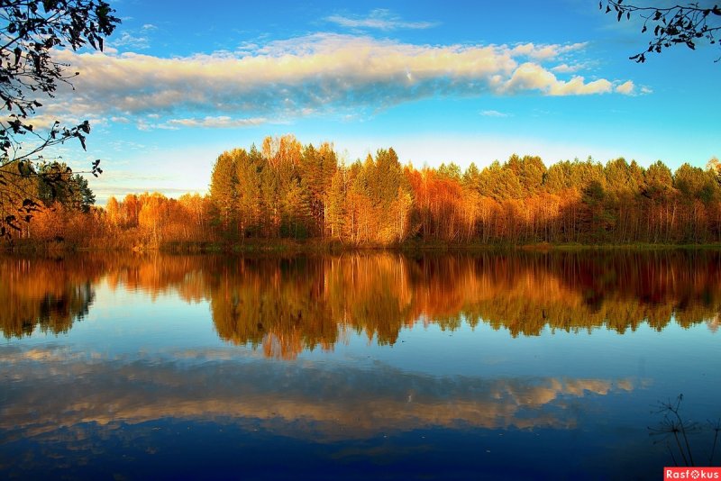 Осенний пейзаж с отражением