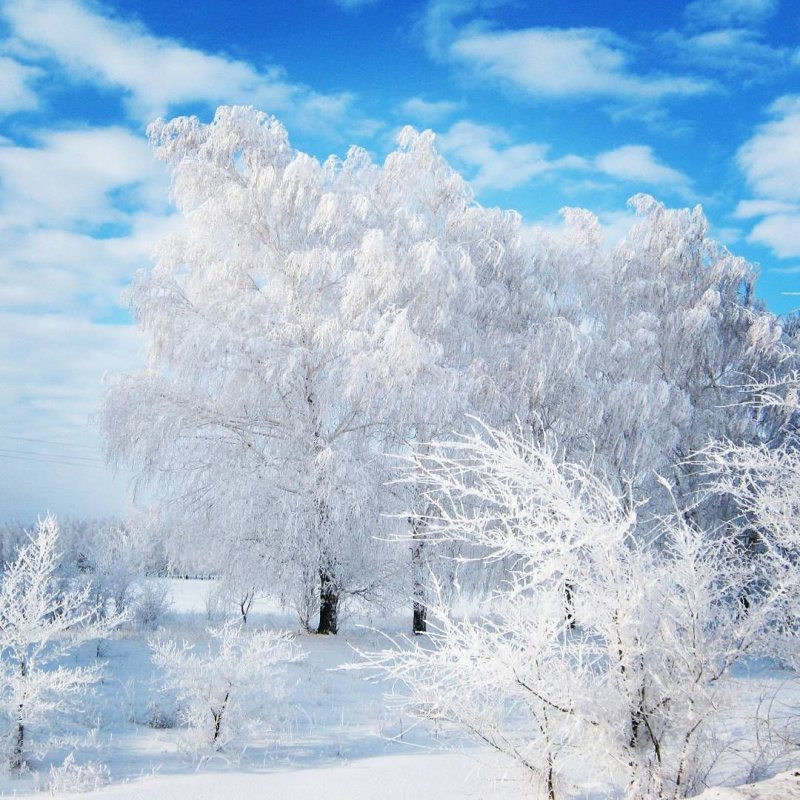 Фото зимы рисунок