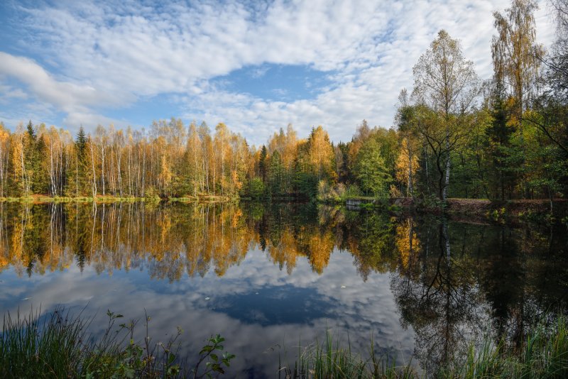 Осень пейзаж отражение