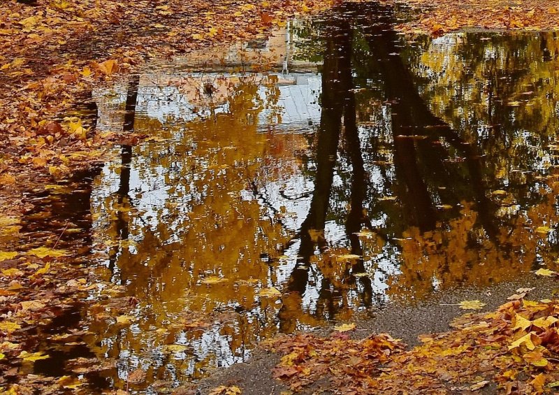 Штат Массачусетс природа осень