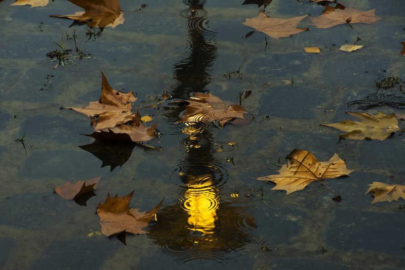 Отражение фонарей в воде