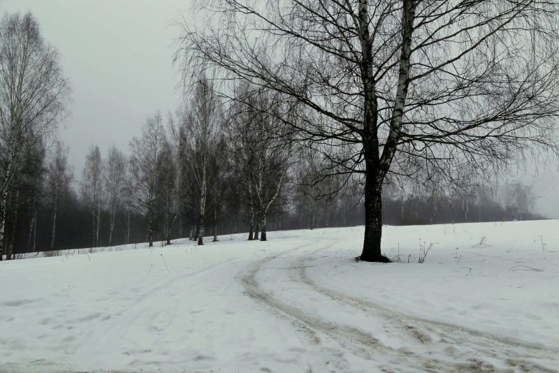 Фото уходящей зимы