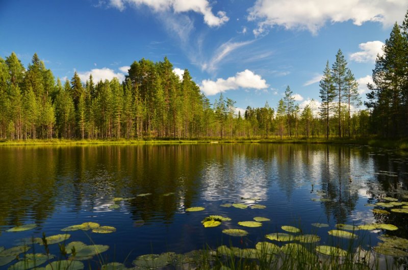 Озеро Ламбушка в Карелии