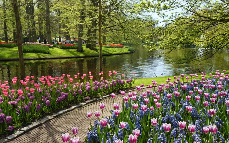 Keukenhof Gardens Нидерланды