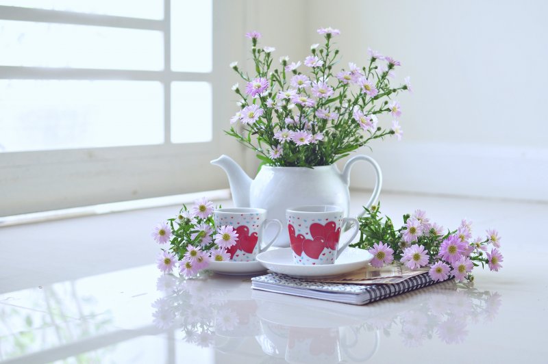 Нежные весенние цветы в чашке