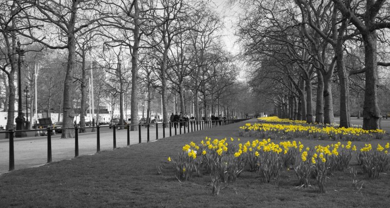 Лондон Весна обои