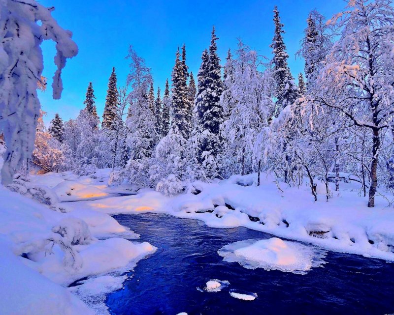Красивые реальные пейзажи зимы