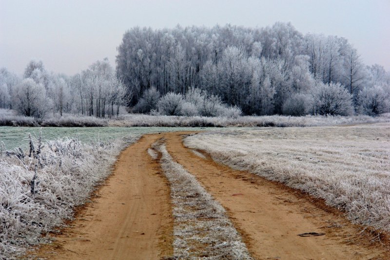 Зимняя дорога в поле