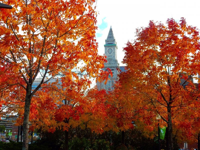 Осенний Бостон, США.