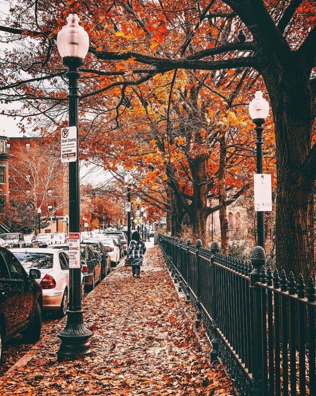Осень в Бостоне