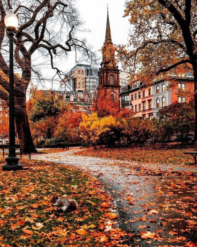 Осень в Бостоне фото
