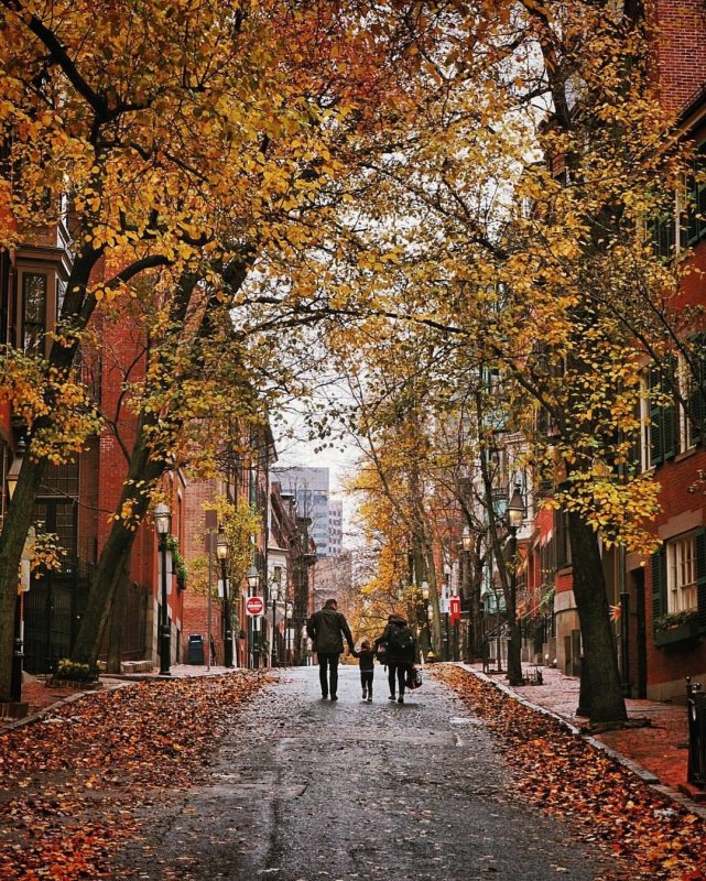 Осенняя улица