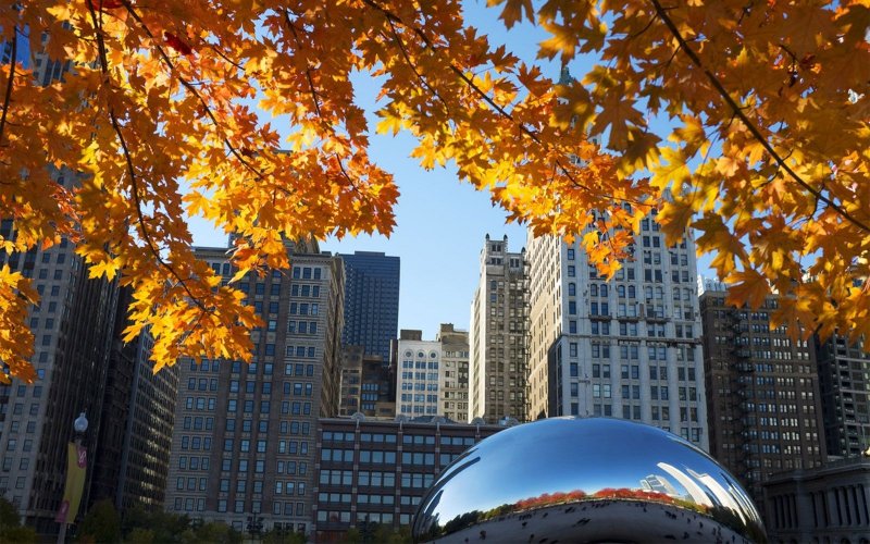 Осень в Чикаго