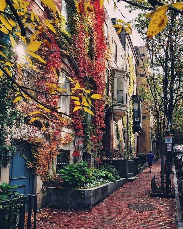 Осенний Бостон, США.