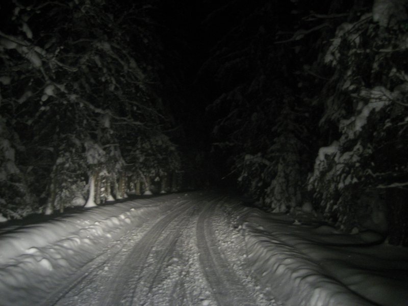 Дорога в лесу зимой ночью