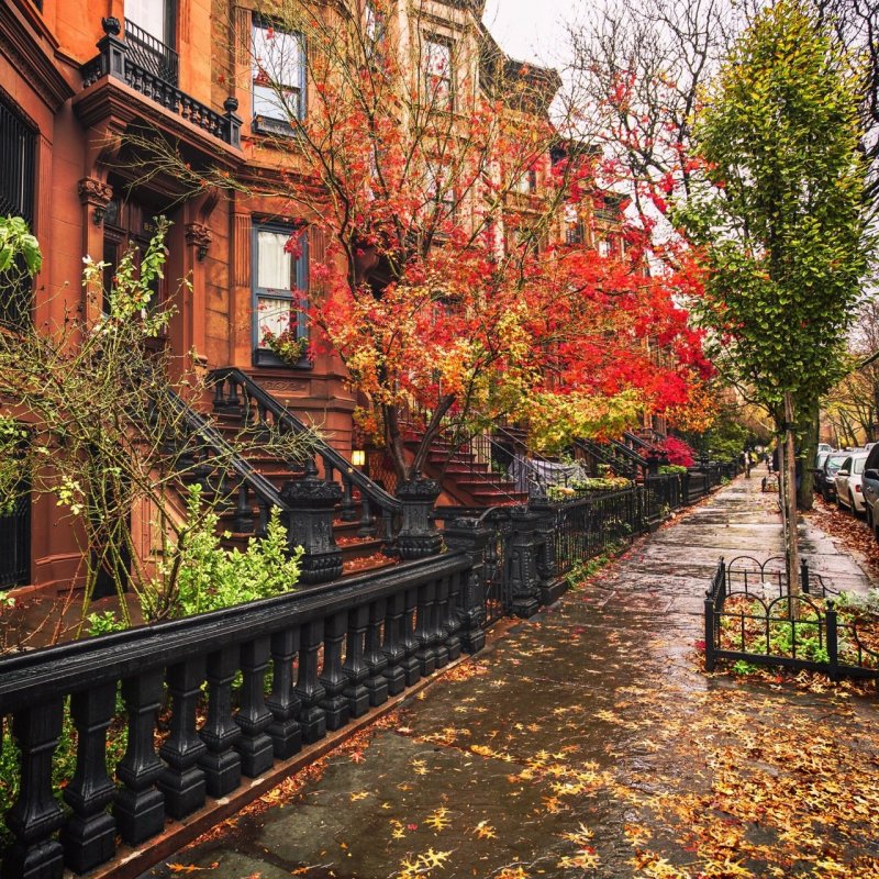 Осенний Нью Йорк пригород