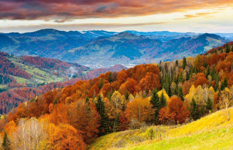 Осенний лес в горах
